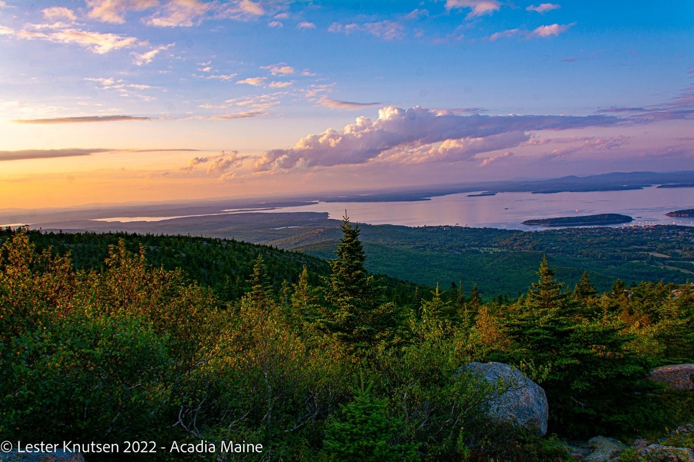 LesterKnutsen2022 Acadia DSC3894