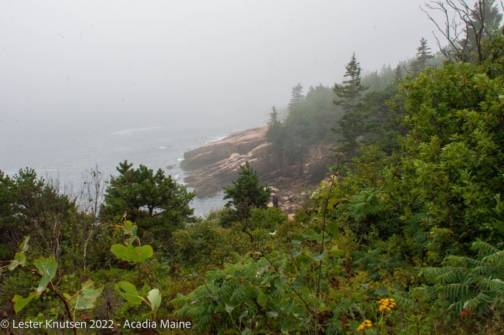 LesterKnutsen2022 Acadia DSC3934