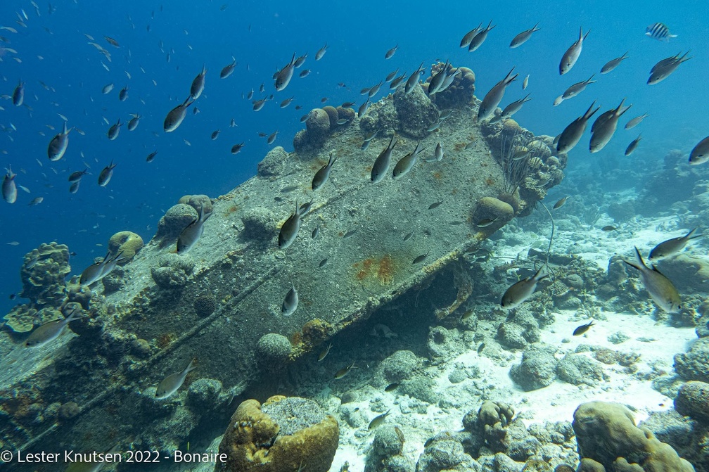 LesterKnutsen2022 Bonaire DSC0658