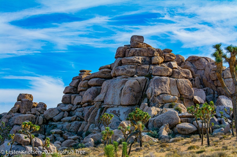 LesterKnutsen2022 JoshuaTree DSC5557