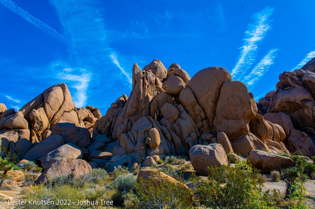 LesterKnutsen2022 JoshuaTree DSC5512