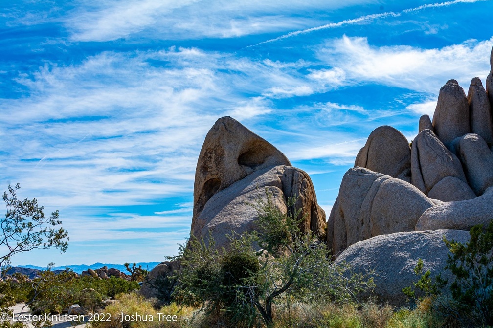 LesterKnutsen2022 JoshuaTree DSC5523