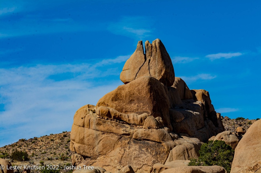 LesterKnutsen2022 JoshuaTree DSC5529