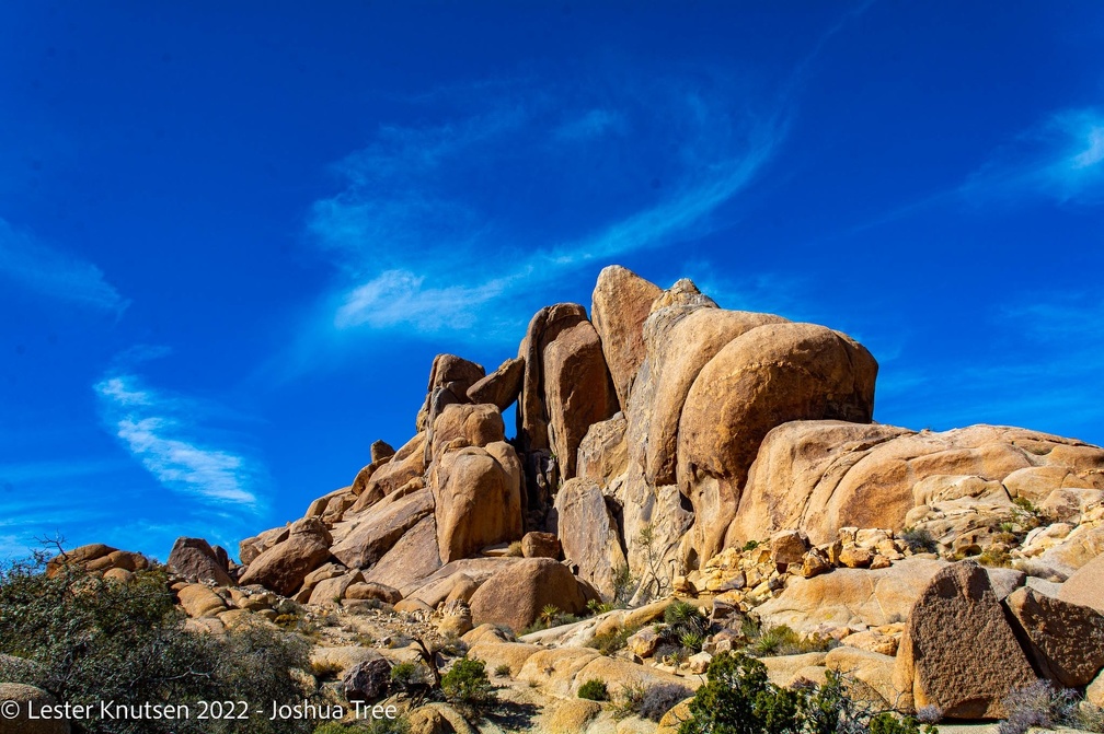 LesterKnutsen2022 JoshuaTree DSC5532