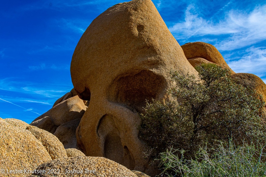LesterKnutsen2022 JoshuaTree DSC5537