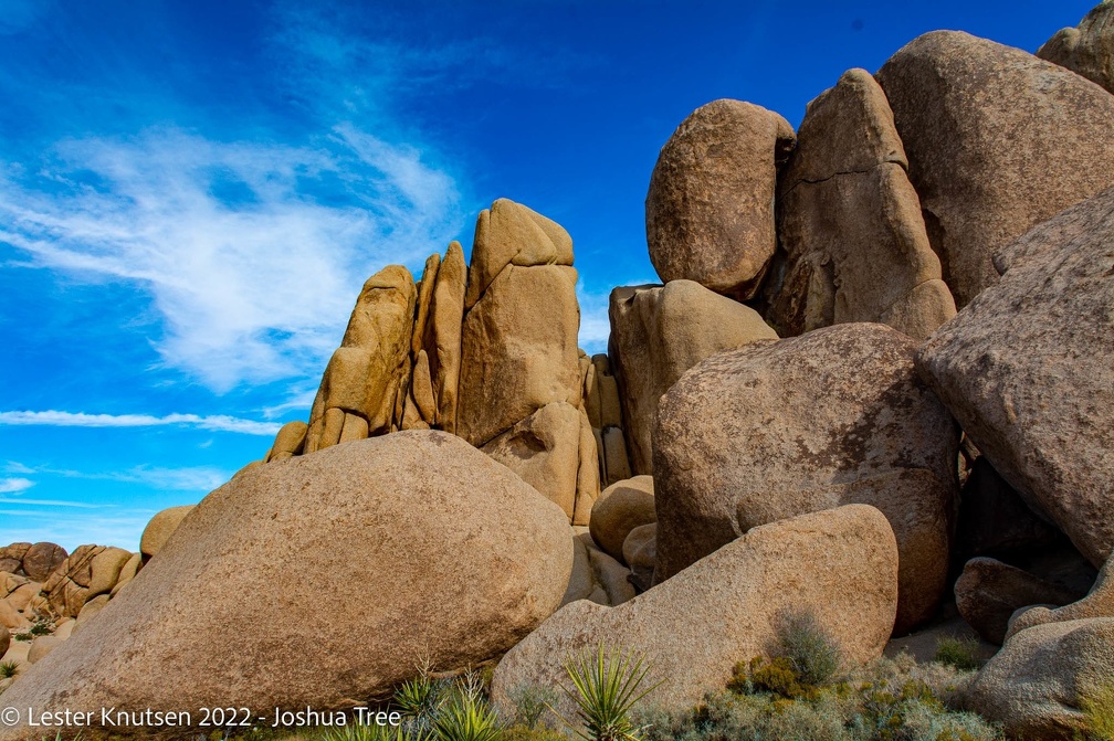 LesterKnutsen2022 JoshuaTree DSC5544