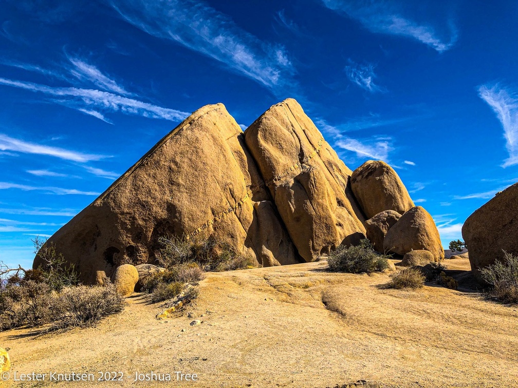 LesterKnutsen2022 JoshuaTree IMG 0809