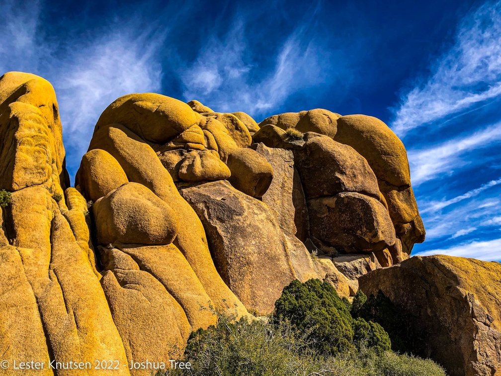LesterKnutsen2022 JoshuaTree IMG 0822