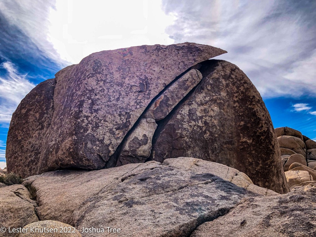 LesterKnutsen2022 JoshuaTree IMG 0832