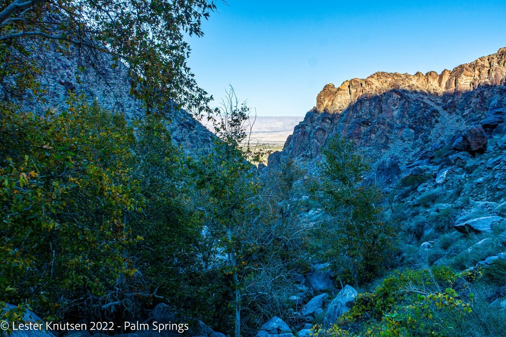 LesterKnutsen2022 JoshuaTree DSC6139