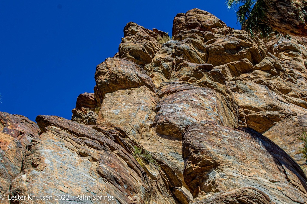LesterKnutsen2022 JoshuaTree DSC6147