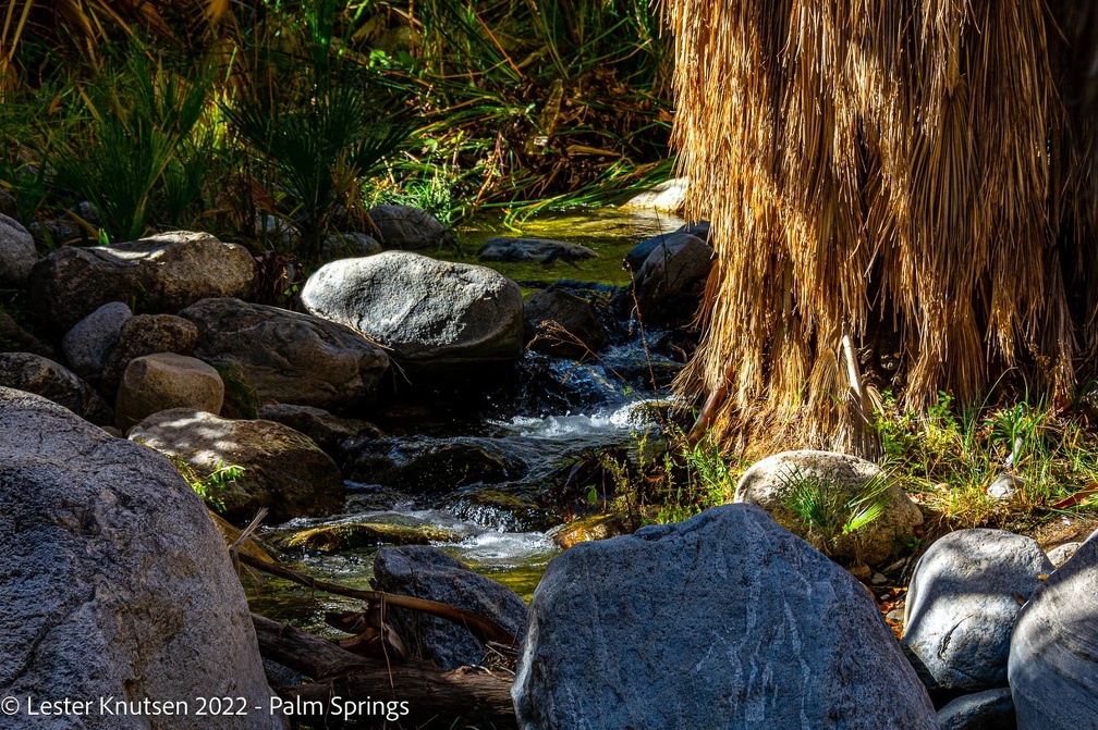 LesterKnutsen2022 JoshuaTree DSC6158