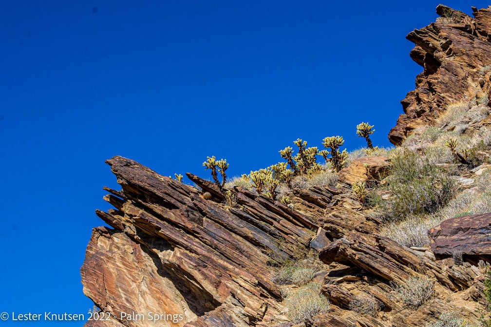 LesterKnutsen2022 JoshuaTree DSC6164