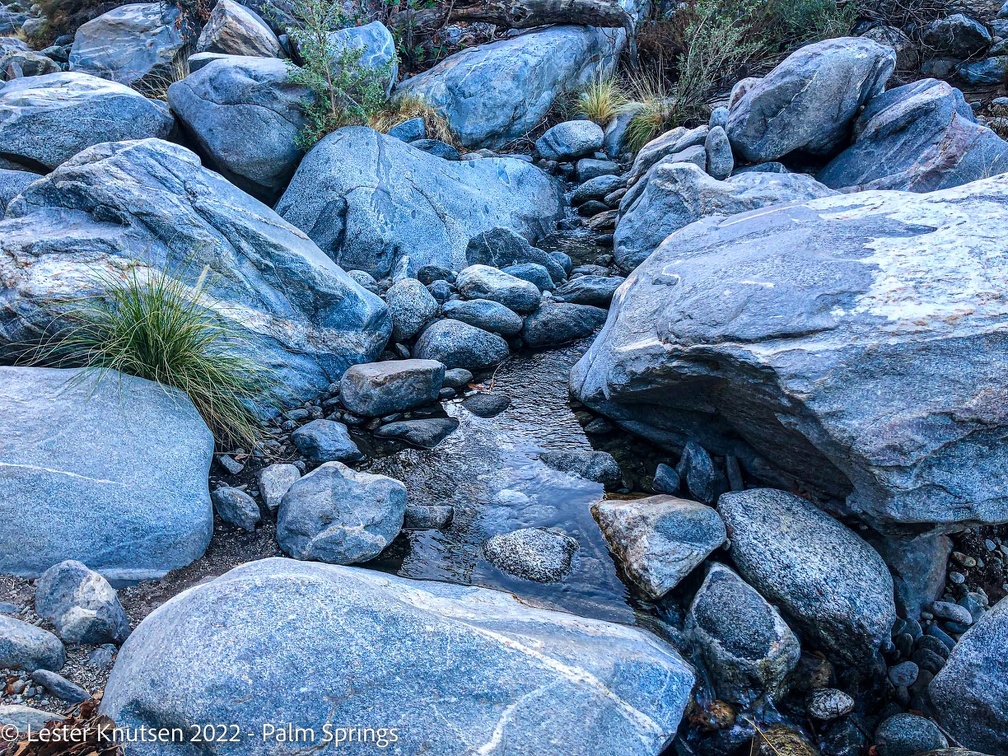 LesterKnutsen2022 JoshuaTree IMG 1029