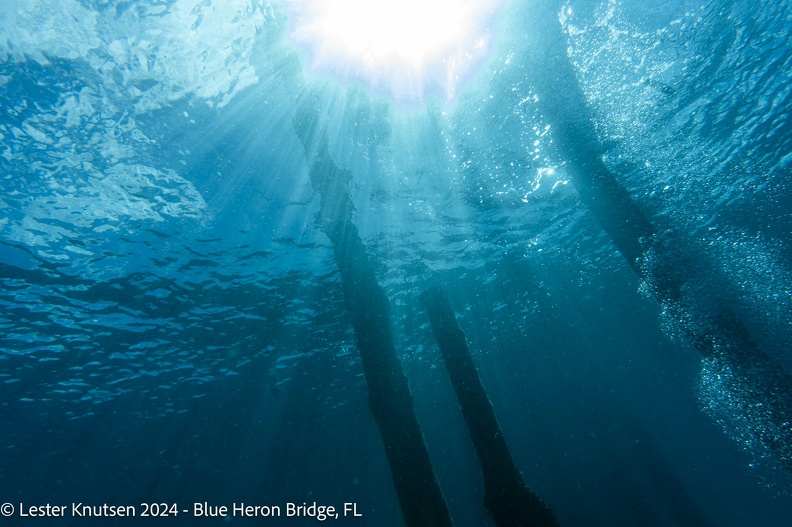 LesterKnutsen2024_BlueHeronBridge_DSC05340.jpg