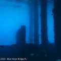 LesterKnutsen2024 BlueHeronBridge DSC05357