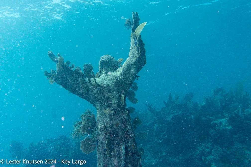 LesterKnutsen2024 KeyLargo DSC08825