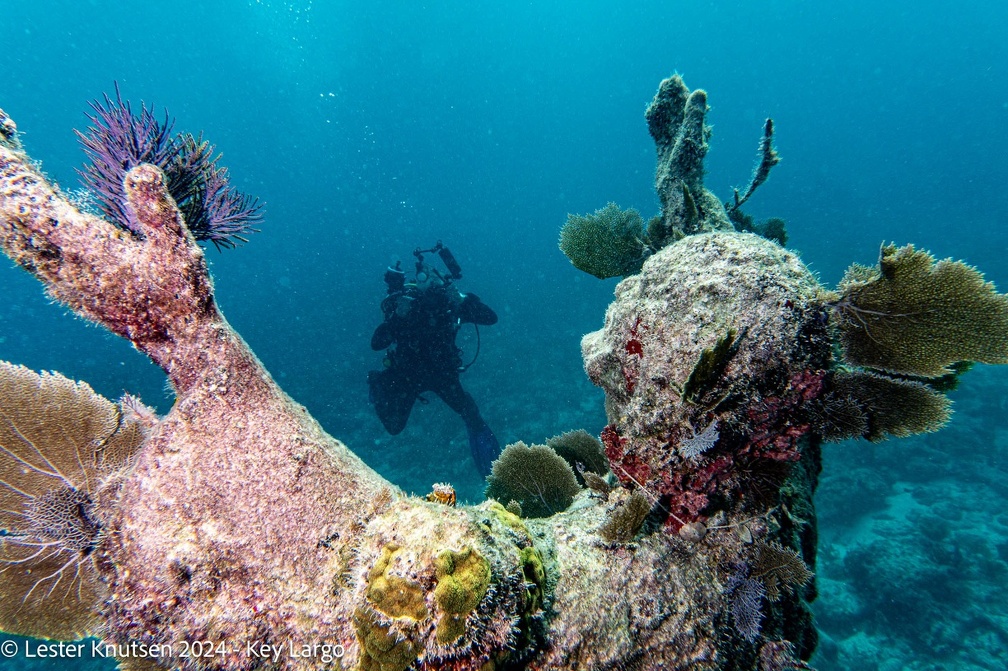 LesterKnutsen2024 KeyLargo DSC08827