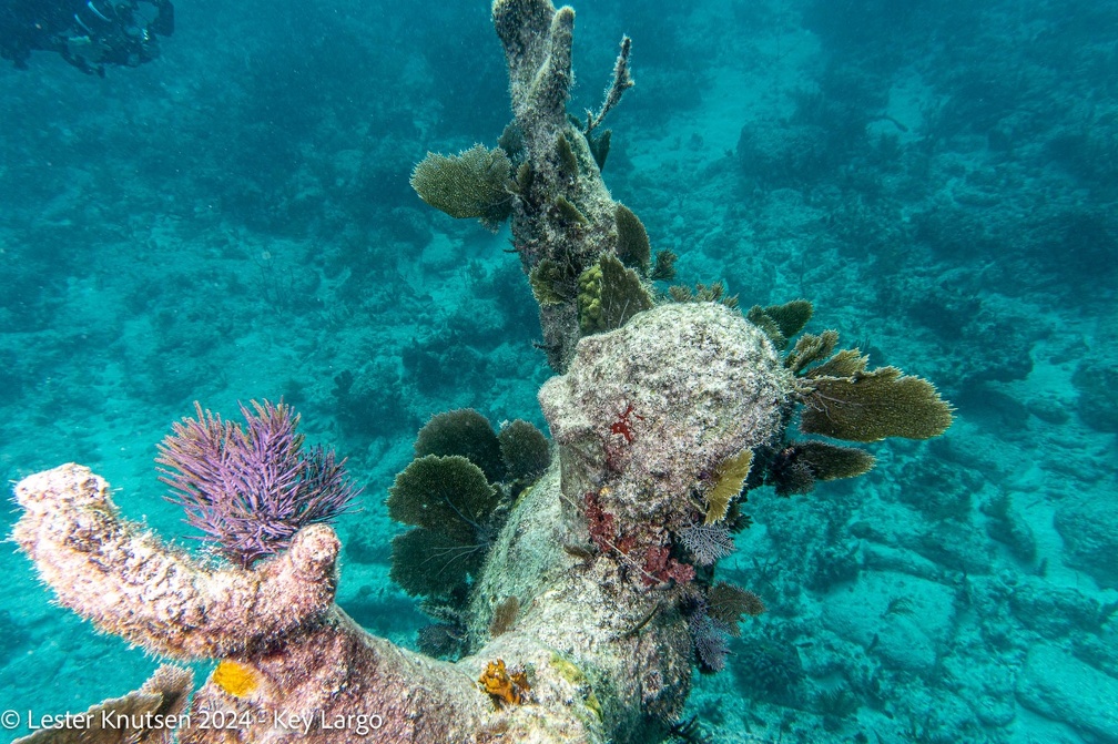 LesterKnutsen2024 KeyLargo DSC08828