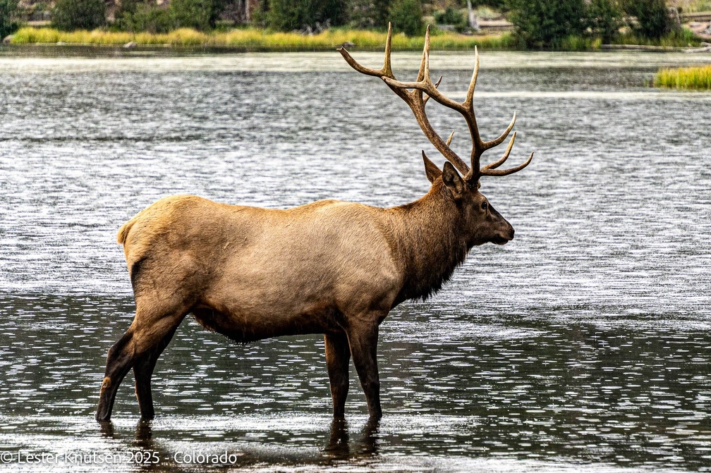 LesterKnutsen2025 CO DSC02470