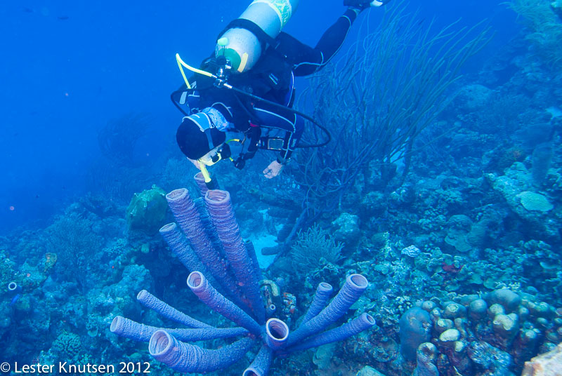 LesterKnutsen Bonaire 201210 DSC0139