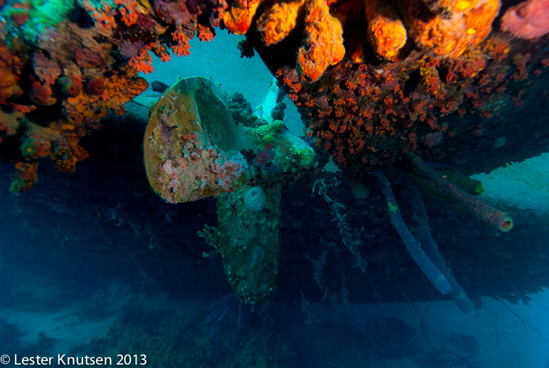 LesterKnutsen Bonaire 201302 DSC1975