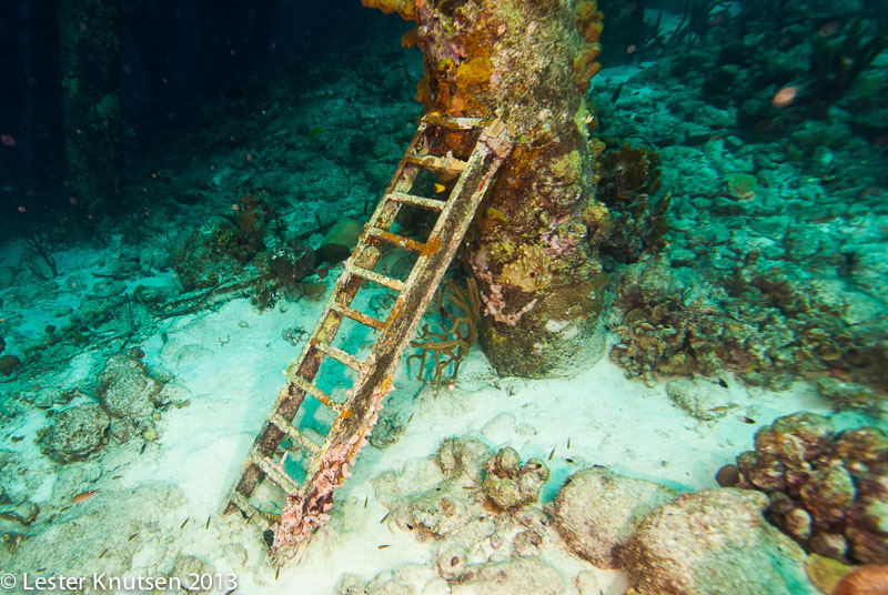 LesterKnutsen Bonaire 201302 DSC2077