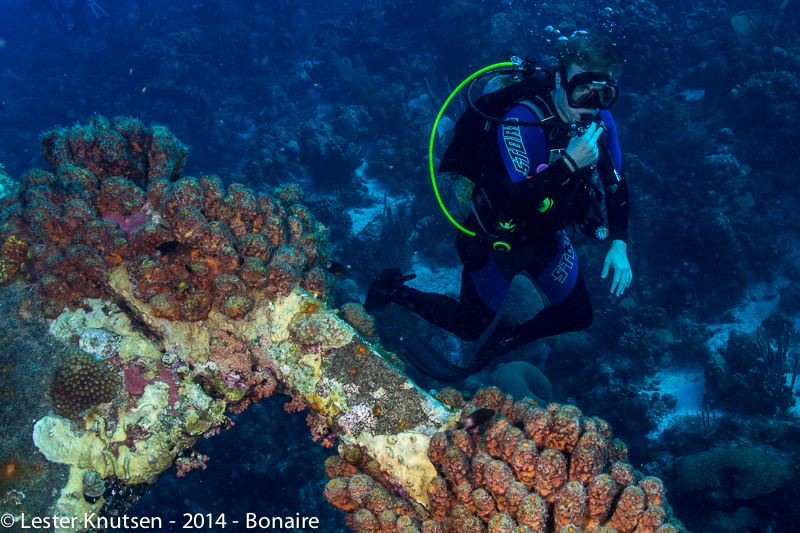 LesterKnutsen Bonaire201410 DSC5605