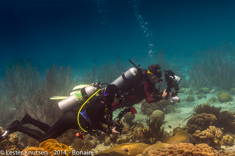 LesterKnutsen Bonaire201410 DSC5861