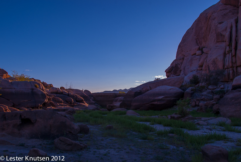 LesterKnutsen CA JoshuaTree2012  DSC7972