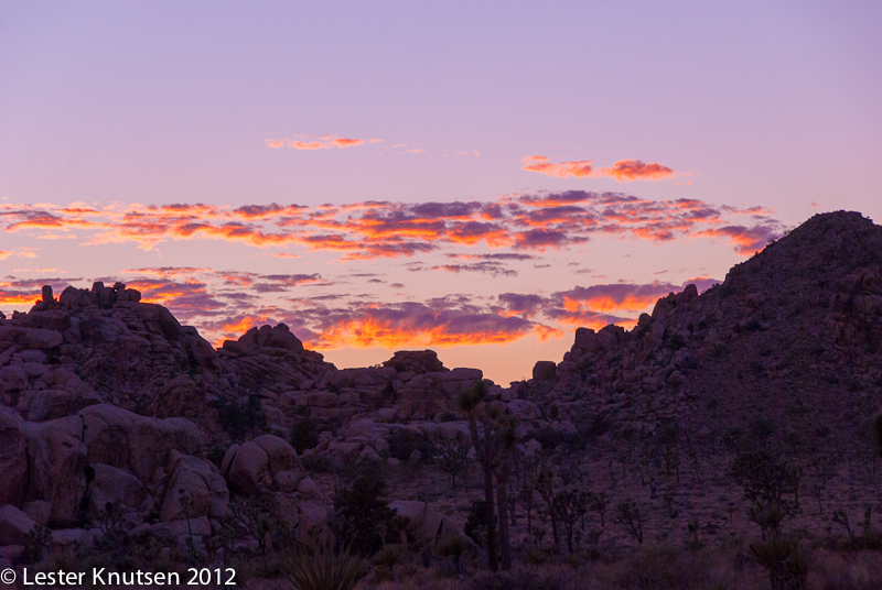 LesterKnutsen CA JoshuaTree2012  DSC8038