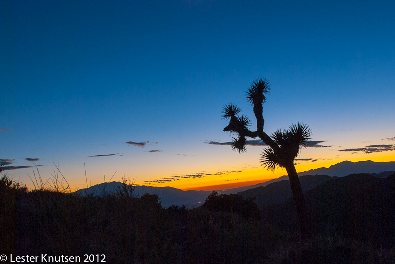 LesterKnutsen CA JoshuaTree2012  DSC8058