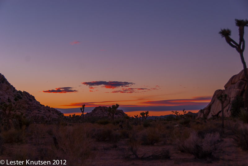 LesterKnutsen CA JoshuaTree2012  DSC8041