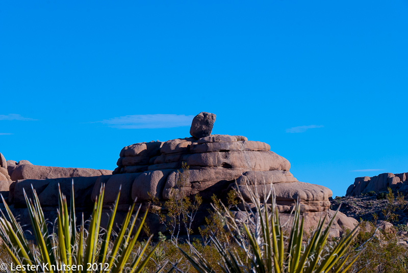 LesterKnutsen CA JoshuaTree2012  DSC8074