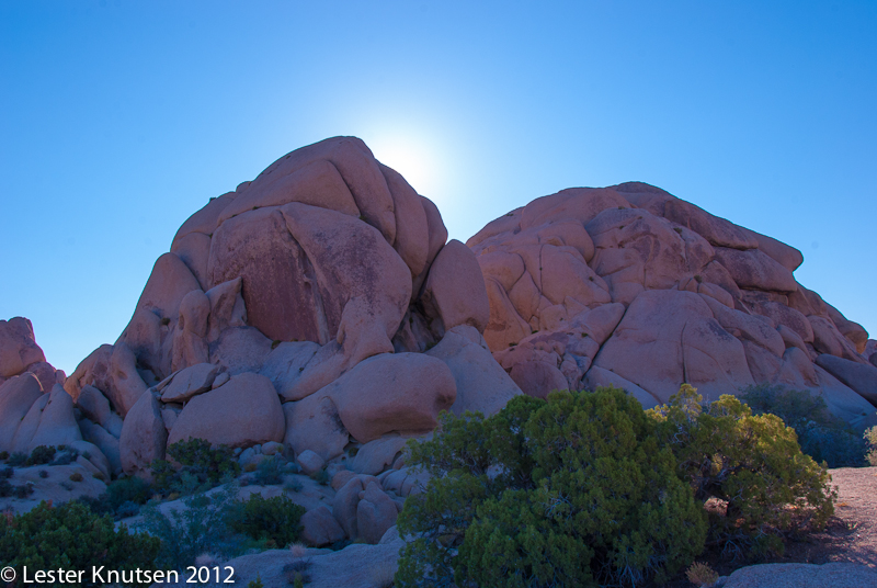 LesterKnutsen CA JoshuaTree2012  DSC8085