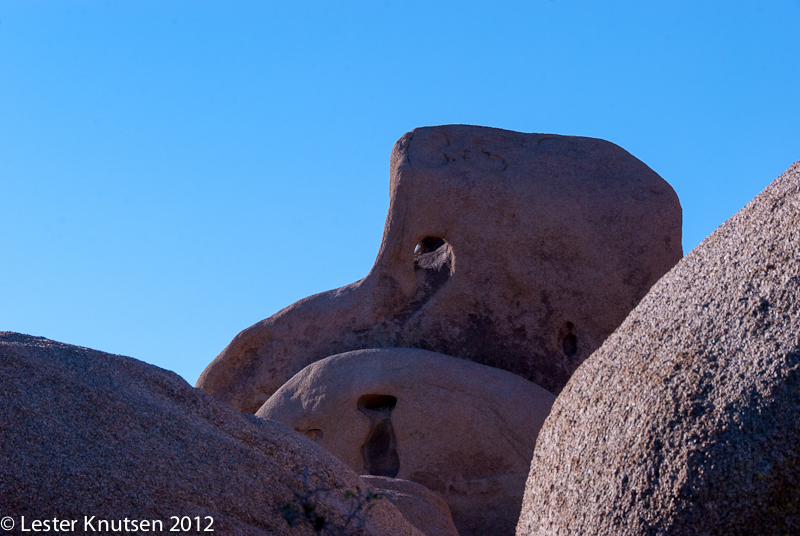 LesterKnutsen CA JoshuaTree2012  DSC8100