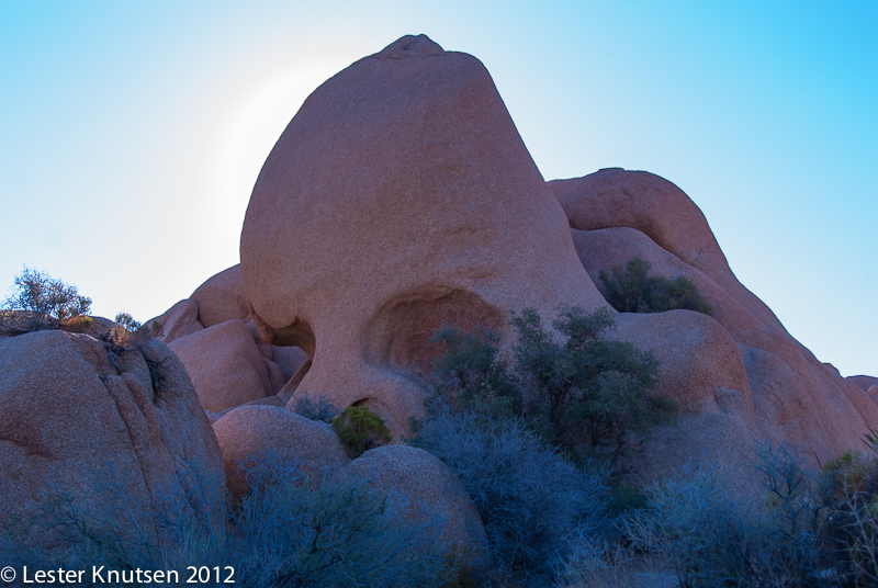 LesterKnutsen CA JoshuaTree2012  DSC8090