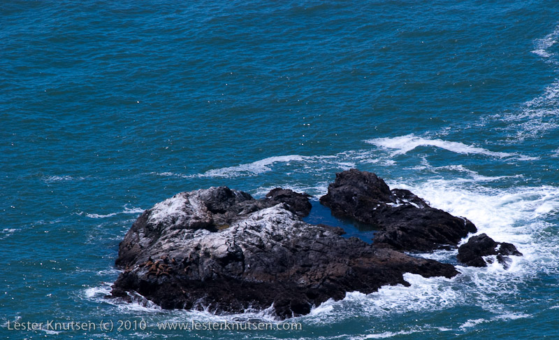 LesterKnutsen MuirWoods201006 DSC 3599