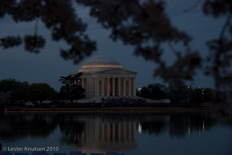 LesterKnutsen DC Cherry Blossom 2010 DSC 0756