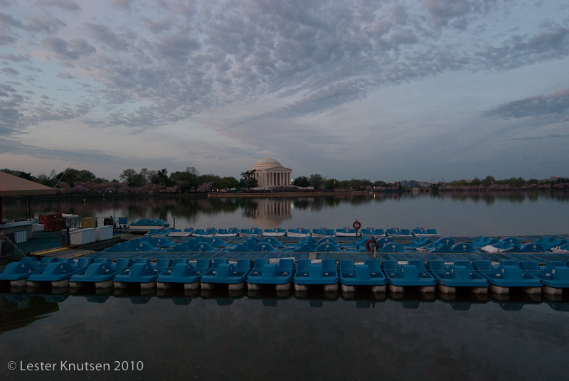 LesterKnutsen DC Cherry Blossom 2010 DSC 0775