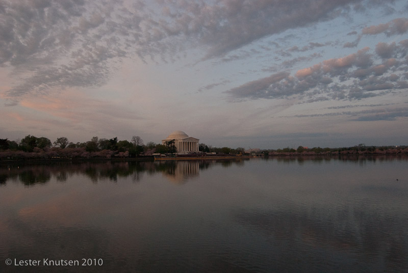 LesterKnutsen DC Cherry Blossom 2010 DSC 0788