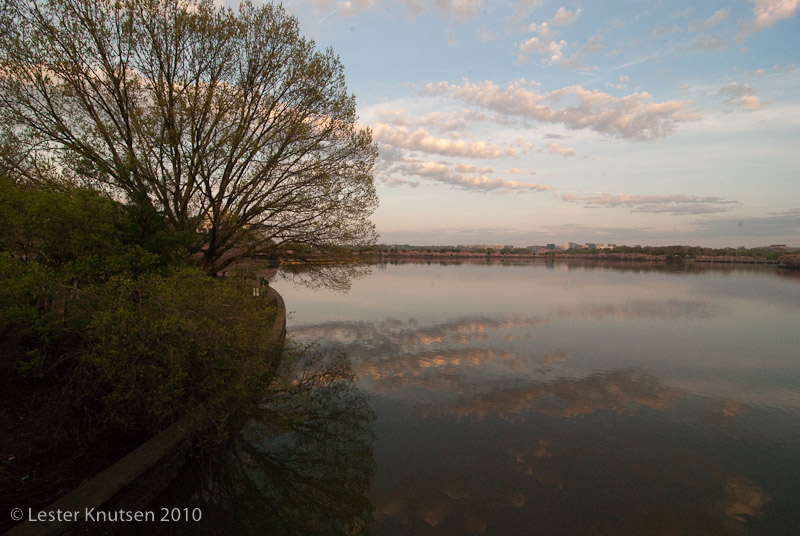 LesterKnutsen DC Cherry Blossom 2010 DSC 0825