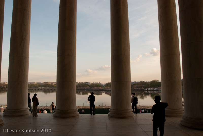 LesterKnutsen DC Cherry Blossom 2010 DSC 0861