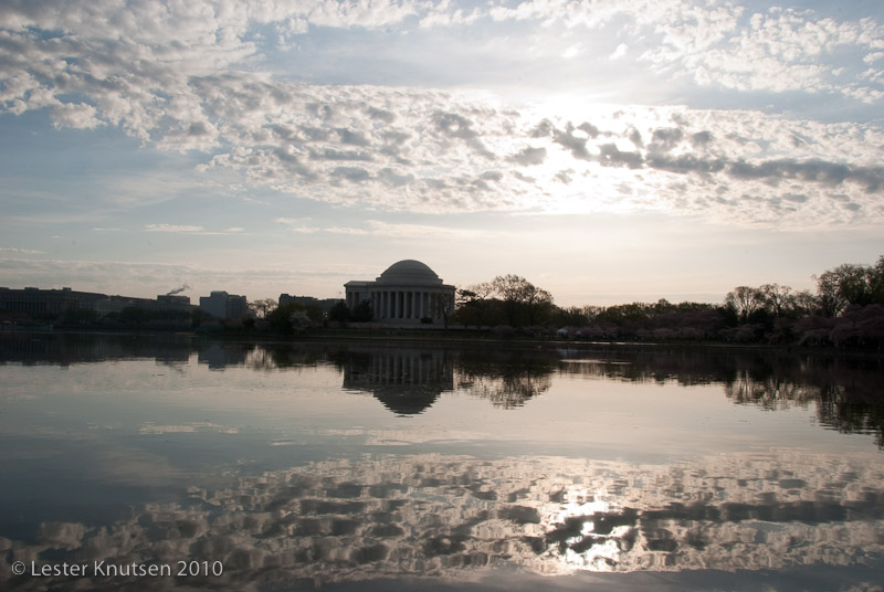 LesterKnutsen DC Cherry Blossom 2010 DSC 0911