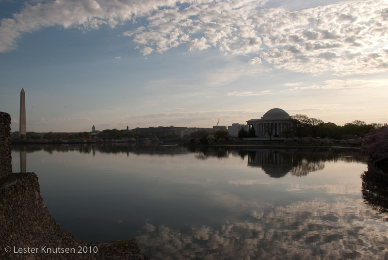 LesterKnutsen DC Cherry Blossom 2010 DSC 0907