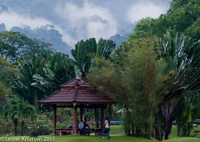 LesterKnutsen Taiping Lake Gardens 2011-DSC 0627