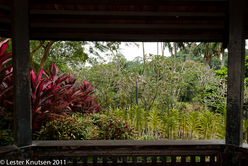 LesterKnutsen Singapore 2011-DSC 6791