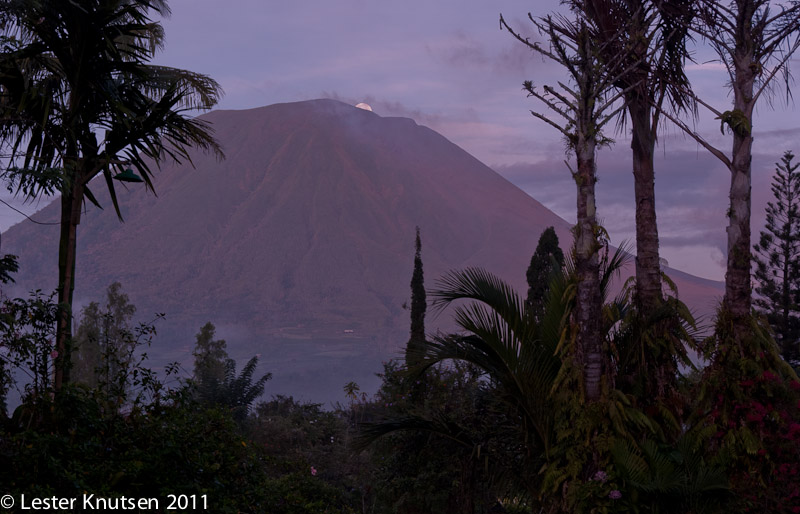 LesterKnutsen NorthSulawesi 2011-DSC 0498
